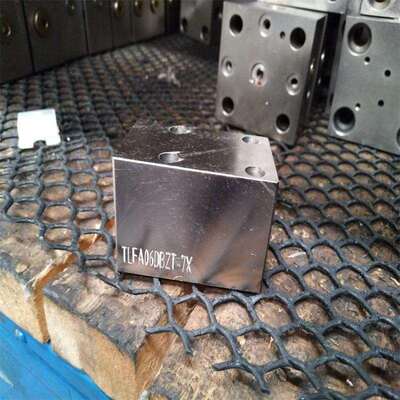 山东泰丰液压TAIFENG供应TLFA63KWC-7X 型盖板厂家直销