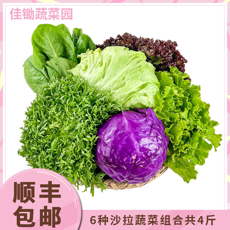 6种沙拉蔬菜4斤 新鲜混合蔬果生菜色拉健身轻食套餐西餐沙拉食材