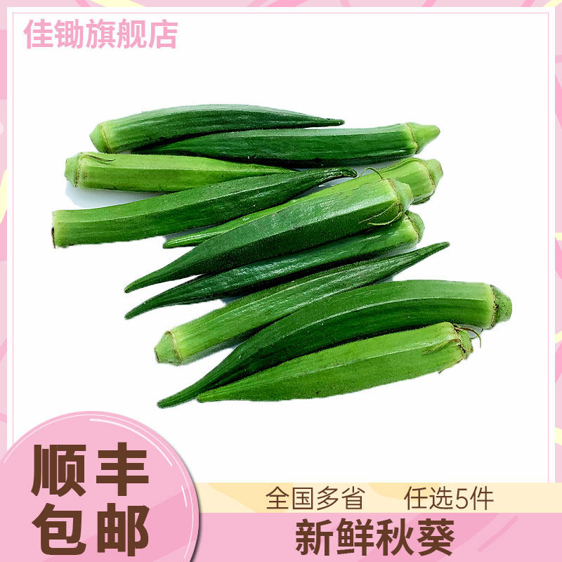 【佳锄】秋葵500g 新鲜黄秋秋葵