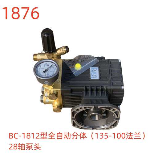 洗特BC-1812型全自动分体（135-100法兰）28轴泵头-1876号