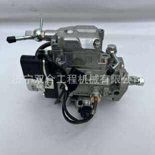 发动机燃油泵 柴油泵0460424303 2644N202 VE4/12F1100R997