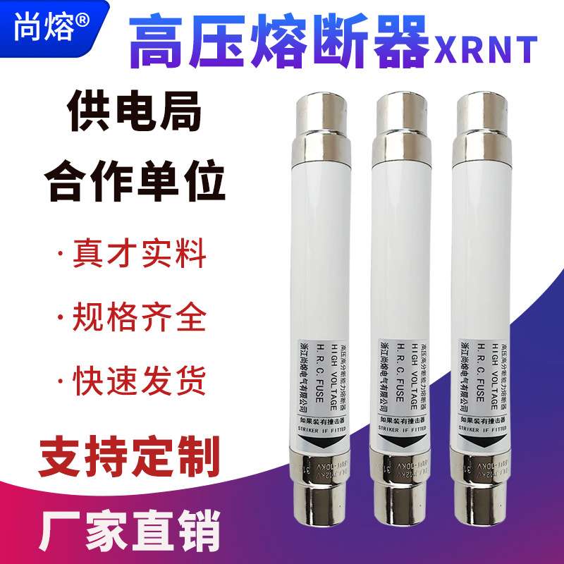 高压高分断能力熔断器XRNT-10KV/10A20ASDLAJ高压保险管熔断管芯
