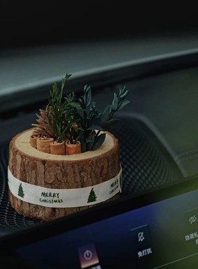 扩木香木质树桩扩香器车载香薰精油生日礼物圣诞礼物创意摆件