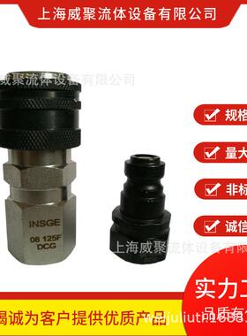 超高压液压快速接头INSGE 08 125F/M DCG工作压力200MPA2000公斤