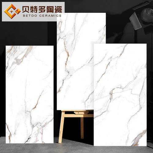 鱼肚金柔光肌肤釉瓷砖600x1200厨房卫生间墙砖客厅防滑地砖寒江雪