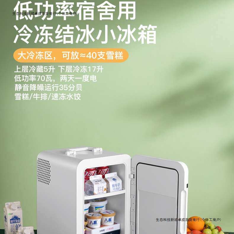 迷你小冰箱一人二人家用办公室特小型新款车载冰箱冷藏冷冻,其他