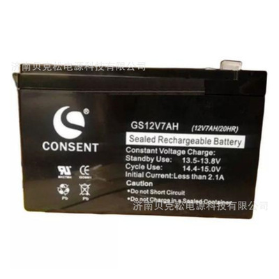 光盛蓄电池GS12V65AH 12V7a9a12a17a24a38a100a150a200a UPS电源