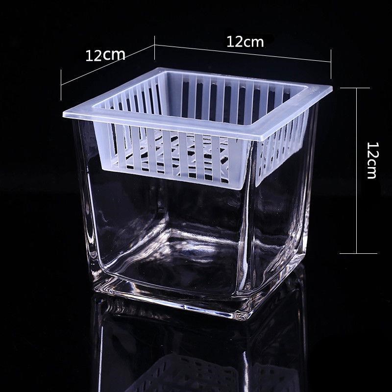 正方形花c瓶水培器皿玻璃方缸鱼缸一体成型透明插花花盆厂家