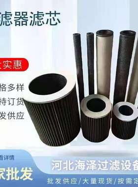 替代HM55420油滤芯 HNP-021油滤芯 滤芯Z1204753钢厂电厂配套滤芯