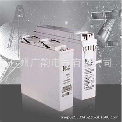 圣阳12V95AH 狭长型6FTJ-95蓄电池免维护胶体电池通信电源机柜