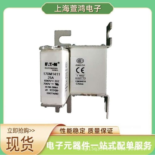 170M6159 170M6160 170M6161 170M6162原装 直流熔断器 熔断熔芯