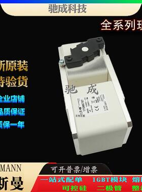 巴斯曼170M6787 170M6788 170M6789 厂家供货价格优惠 快熔保险丝