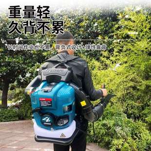 庭院大棚汽油吹雪机 路面清洁吹叶机 EB9900型背负式 二冲程吹风机