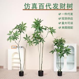 高端仿真绿植百财树假绿植盆栽室内客厅落地装 饰摆件仿生植物
