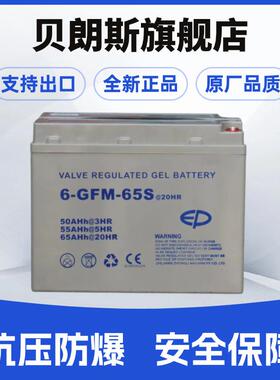 6-GFM-65S托盘车电池12V65Ah EP中力叉车小金刚蓄电池厂家