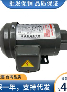 摆W HT电机OPA油泵润滑TO131119线0组P 泵.RO-AKTOVP --B12AP11Z