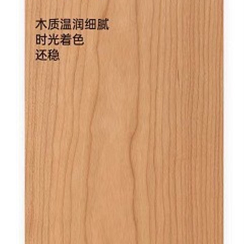 现代简约实木电视柜t黑胡桃木樱桃木视听柜复古收纳柜