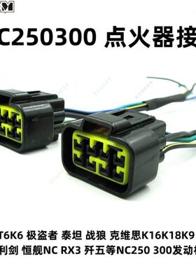 K6K1洋极盗者T贵尊华6250C8点火器N61插头通用线接头泰坦新线火点