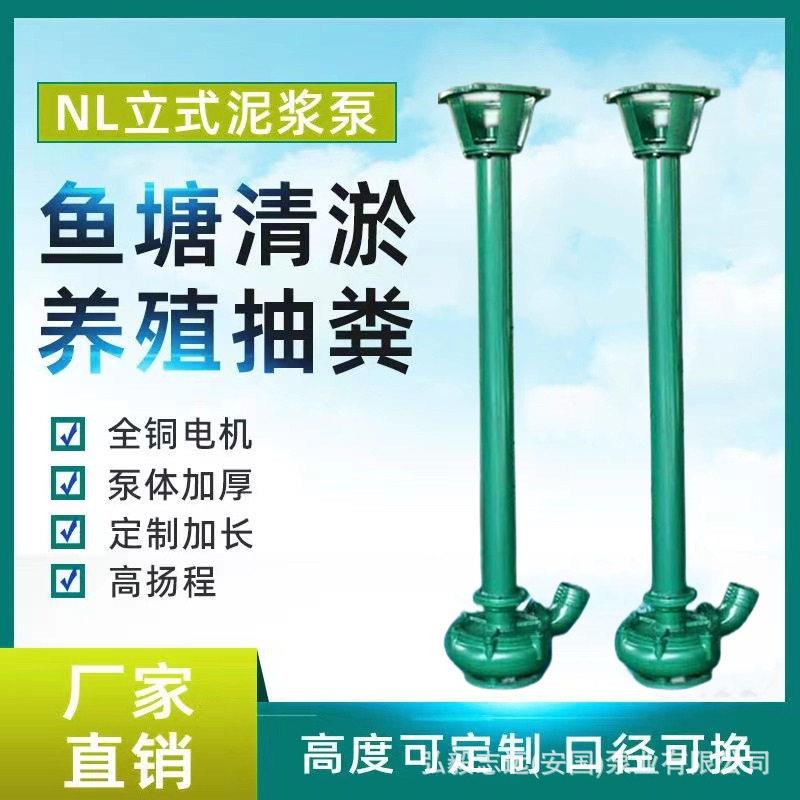 立式泥浆污水泵池塘清淤泥浆泵铰刀抽粪泥浆液下长杆泵