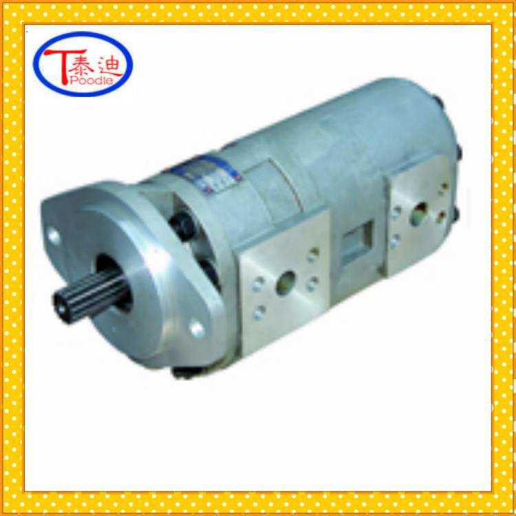 CBF-F28/28 CBF-F50/10双联齿轮油泵 高压双联泵