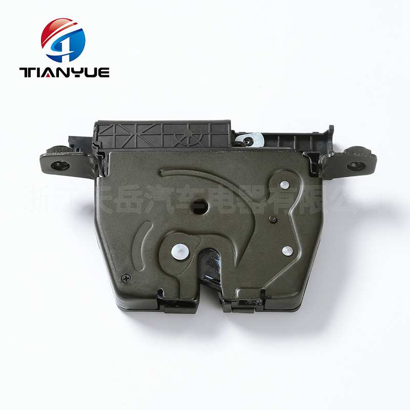 Door Lock Actuator 51247191212 BM尾门锁汽车锁块车门锁执行器