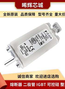 170M2676  170M2677 直流快速熔断器 量大从优 原装现货型号齐全