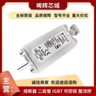 原装 170M2676 量大从优 直流快速熔断器 现货型号齐全 170M2677