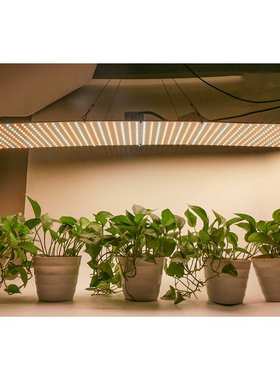led种植灯75W量子板598珠可调光大棚育苗灯115X30CM大面积补光