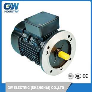 380v铝壳水泵纺织机计量泵三相交流电机 220 SMC上海金陵电机 IE3