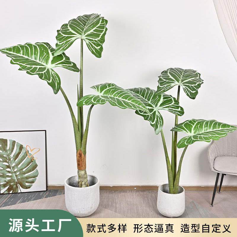 仿真绿植大叶帝王花烛卧室客厅橱窗大型落地盆栽装饰摆件假植物