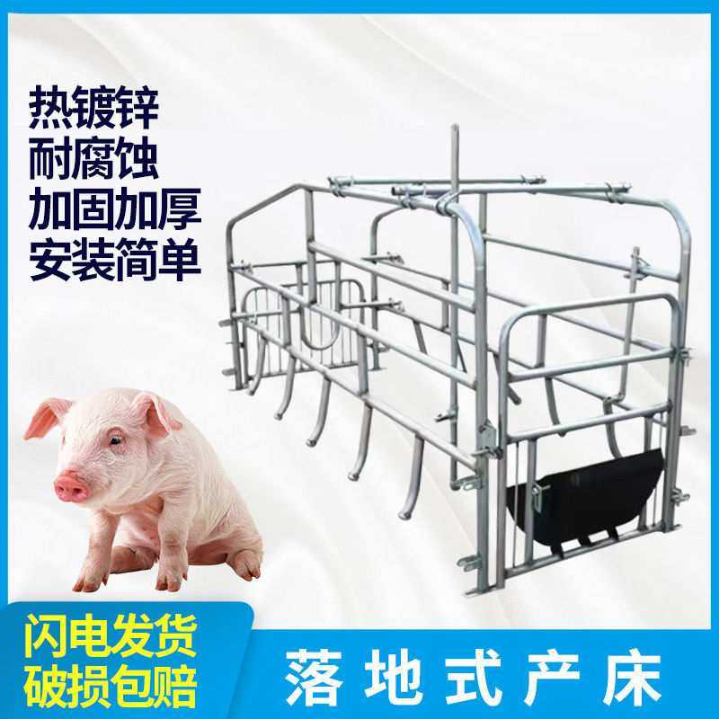 新款落地母猪产床产保两用床落地母猪位简易产床养猪设备包邮其他