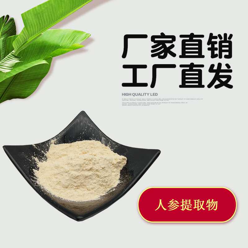 人参提取物10:1 人参浓缩粉 人参根/人参茎叶提取物 人参皂甙