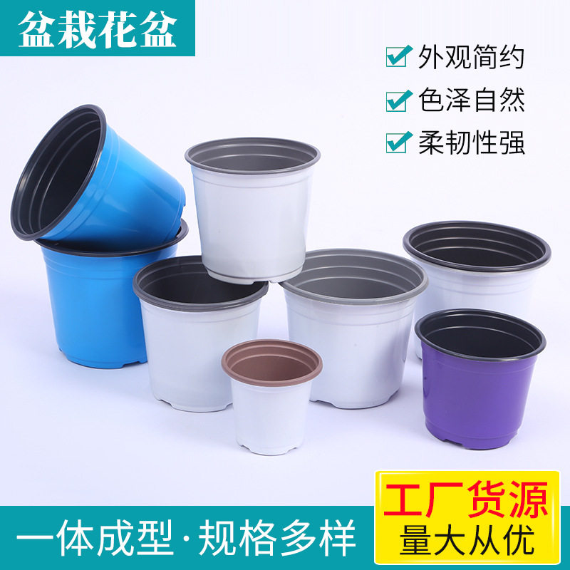 跨境花盆双色花盆PP塑料白花盆多肉育苗盆简易紫色蓝色双色盆