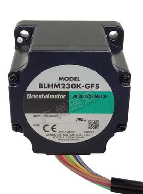 BLHM230K-GFS BLH2D30-K GFS2G20 功率30W DC24V东方直流无刷电机