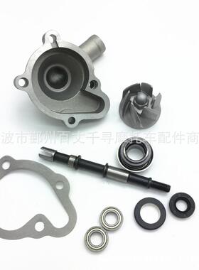 沙滩车 配件 水泵组件 套件 GY6 250CC CH250 CF250 water pump