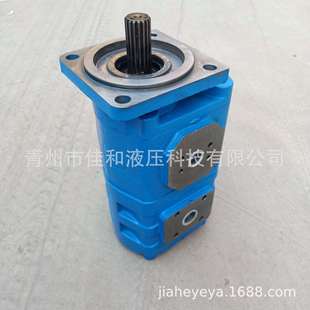 易保养 生产厂家 效率高 佳和液压 机用齿轮油泵