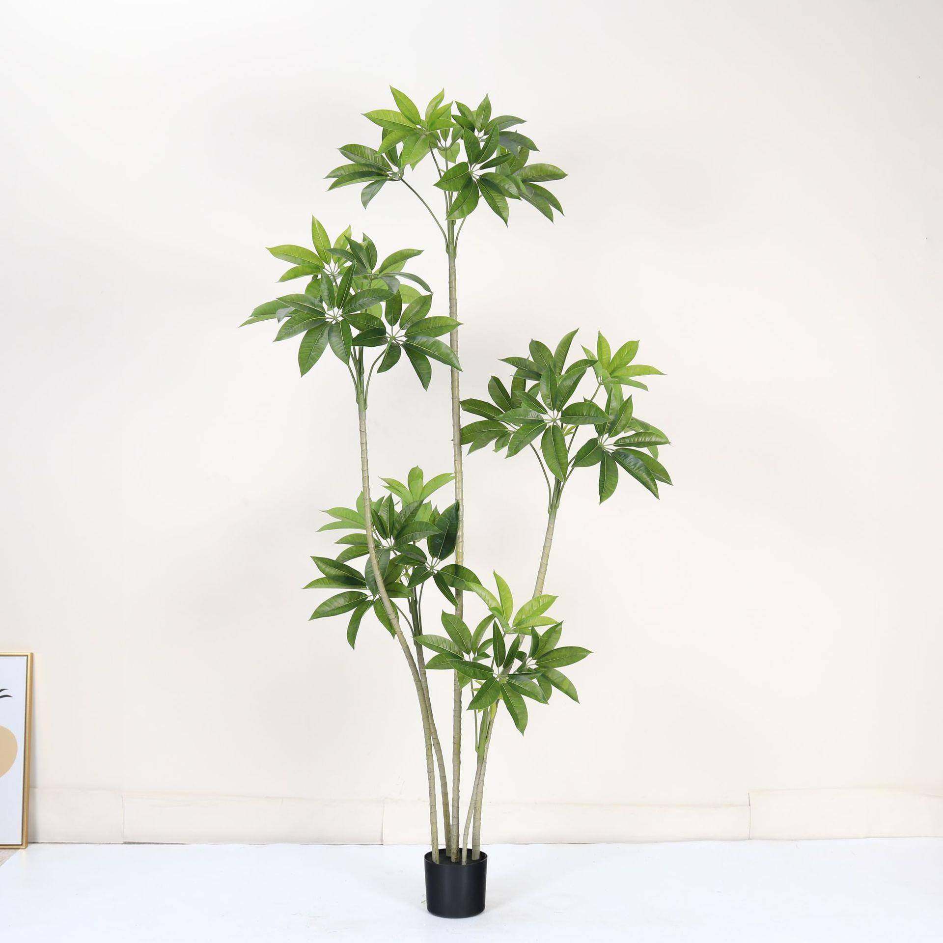 高端仿真绿植百财树假绿植盆栽室内客厅落地装饰摆件仿生植物,鲜花速递/花卉仿真/绿植园艺,其它园艺用品,淘宝优惠券,粉丝福利购,淘宝优惠卷