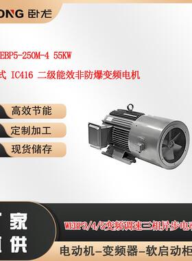 WEBP4/WEBP5-250M-455W冷却方式IC416二级能效非防爆变频电机