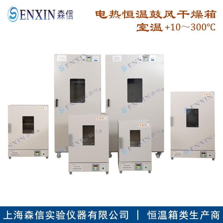 -供应DGG-9420BD电热恒温鼓风干燥箱（300℃可十段编程）