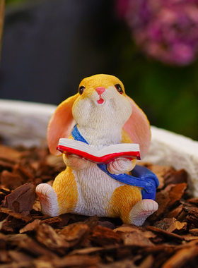 可爱兔子微景观花园阳台装u饰花盆景多肉造景摆件办公书桌摆设礼