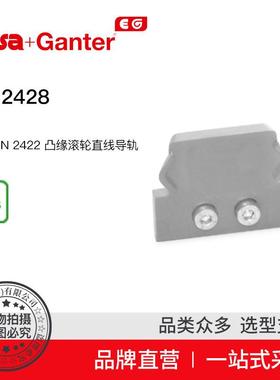 Elesa Ganter伊莉莎冈特 GN 2428 滑片 用于 GN 2422