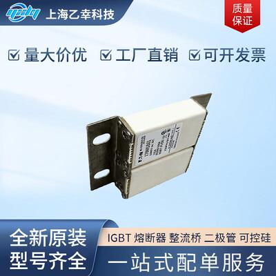 巴斯曼熔断器 170M1860 170M1861 170M1862 170M1863 170M1864