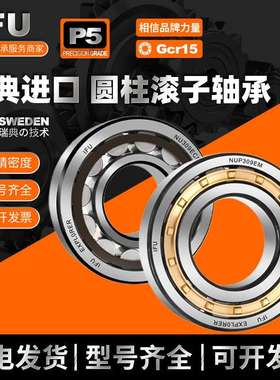 IFU圆柱滚子轴承 NJ307 NU307 NUP307 N307 RN307 ECM ECP EM EW