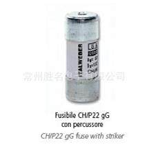 ITALWEBER 熔断器22*58 690V CH22 aR 50A 1462050 保险丝 品质