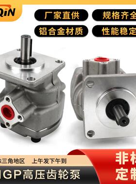 微型高压齿轮泵 HGP-1A-F4/6/8R HGP-2AHGP-3A系列升降台液压油泵