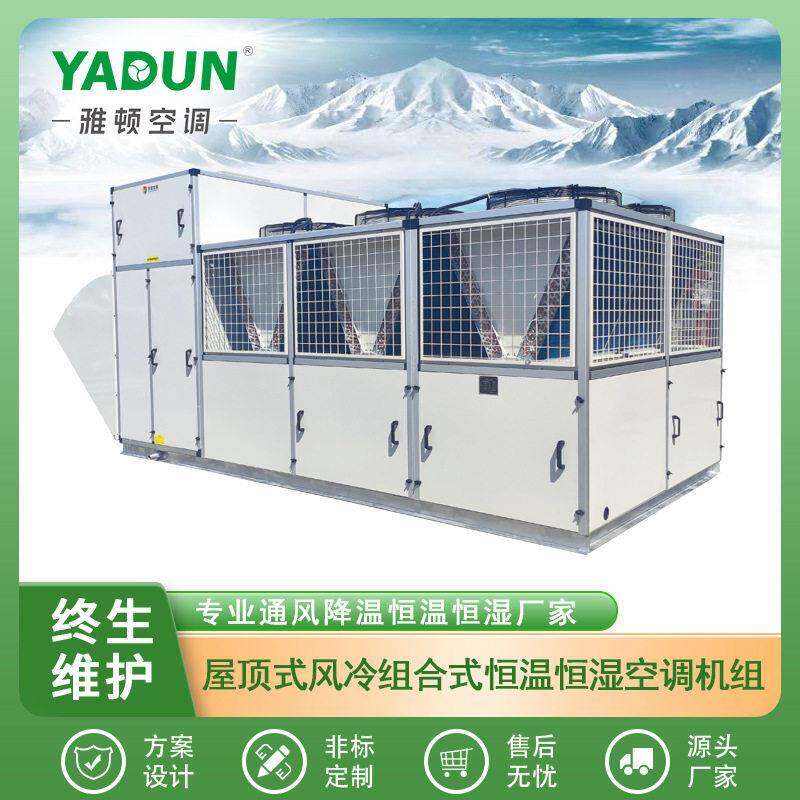 雅顿净化空调厂家直供全新风屋顶式空气处理机组风冷直膨换热