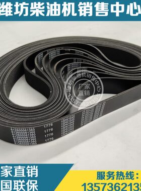 柴油发动机P动0WW皮带260带360力10456161多原厂K10P潍柴100P12楔