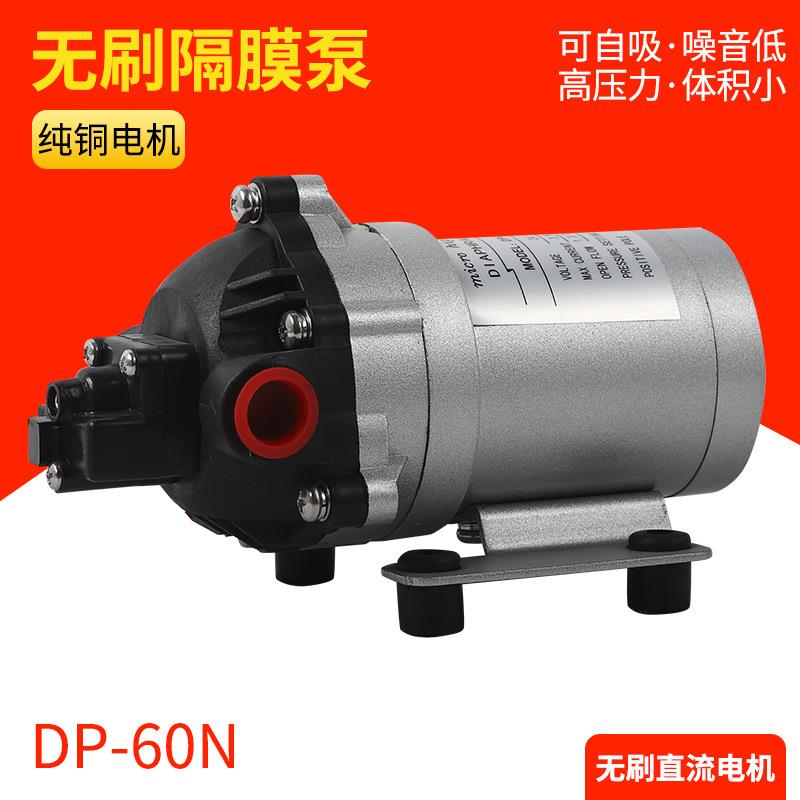 DP-60/12V24V微型无刷电动隔膜泵车油过滤泵美容仪器泵电焊机水泵