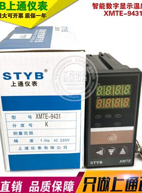 0-STM仪表 Y 通-智能B0上X943 0E  MT1调节器K型E9温度 T温控仪X