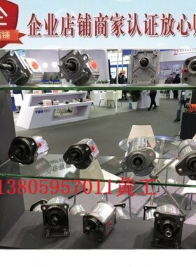 10R 4L54RGE 1P GE台湾11PHONOR齿轮泵015L01GE钰盟GE1P01P